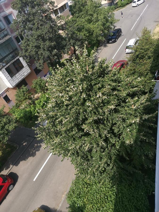 Bloom Box Apartments 克拉奥华 外观 照片