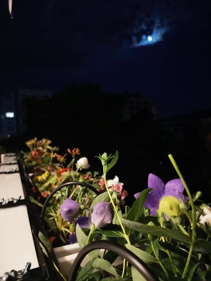 Bloom Box Apartments 克拉奥华 外观 照片